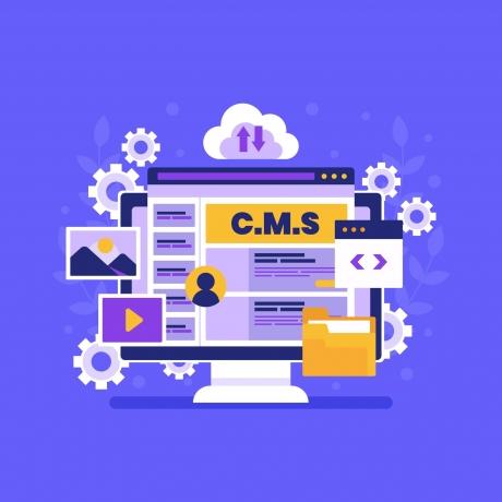 Maximizing Success with Magento Support and Maintenance Services in the USA